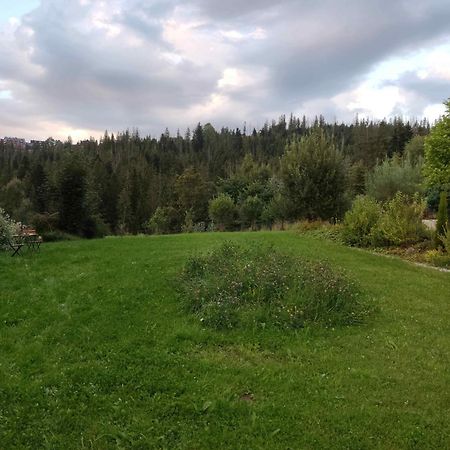 Prymulka Hotell Zakopane Exteriör bild