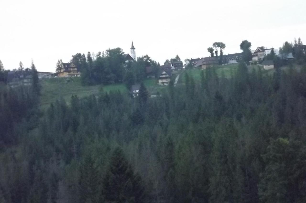 Prymulka Hotell Zakopane Exteriör bild